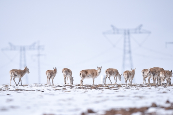 6080c726e4b0fc41953e552d