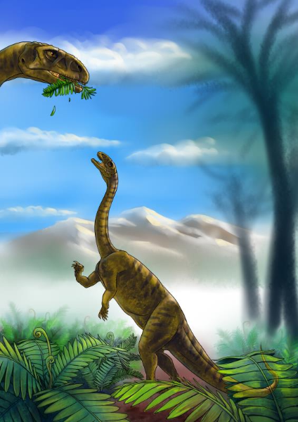 139928707_16203054891331n 139928707_16203054891331n