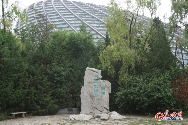 Chaoyang International Forest of Friendship witnesses the construction of a community with a shared future for mankind Chaoyang International Forest of Friendship witnesses the construction of a community with a shared future for mankind