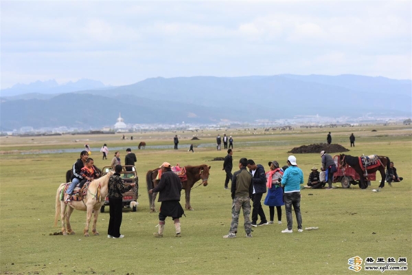 9b251142-bfa9-4a1e-9057-76b8de3135b6_batchwm