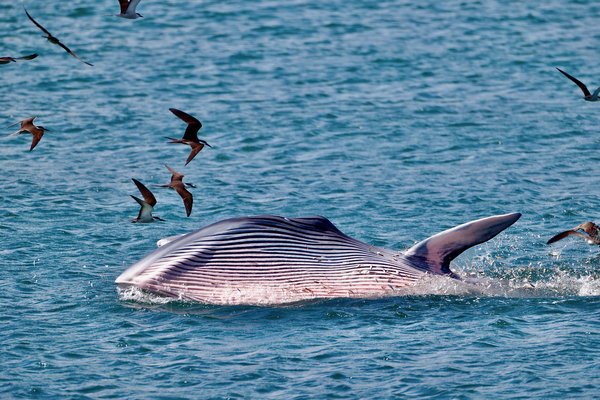 微信图片_20210713165853 微信图片_20210713165853