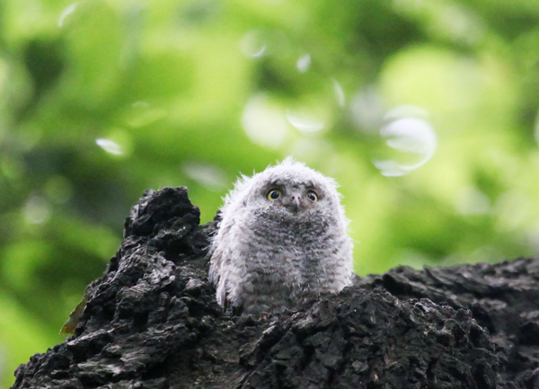 微信图片_20210713165911 微信图片_20210713165911