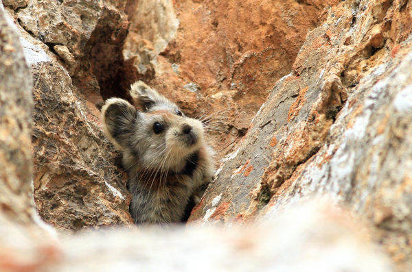 微信图片_20210713165927 微信图片_20210713165927