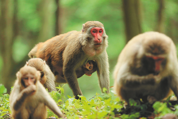 微信图片_20210713165941 微信图片_20210713165941