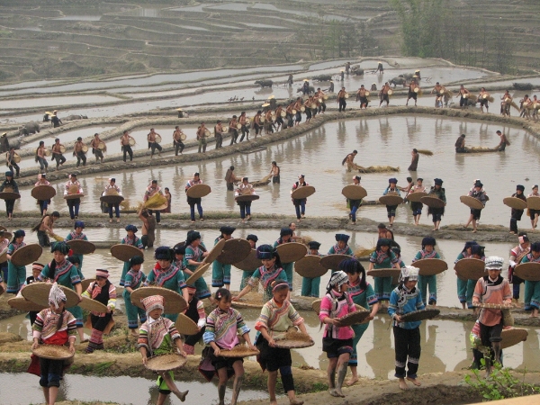 20210715071547588 20210715071547588