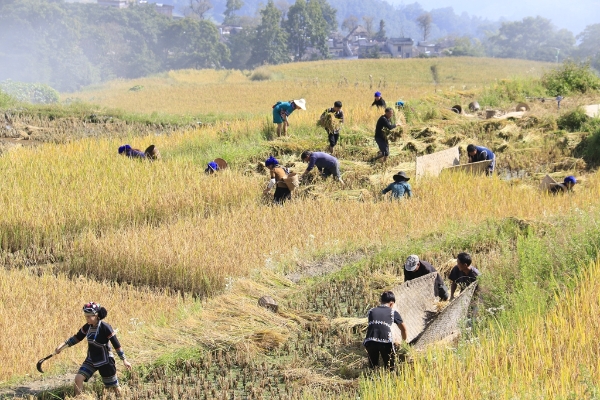 20210715071659949 20210715071659949