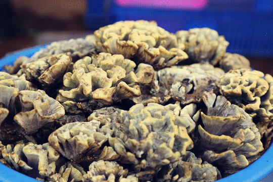 20210716065556393 20210716065556393