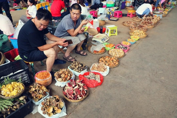 20210716065618260 20210716065618260