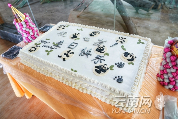 panda2 - 副本 - 副本