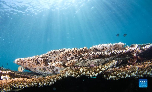 61653b55a310cdd3d812d70f_gaitubao_600x364 61653b55a310cdd3d812d70f_gaitubao_600x364