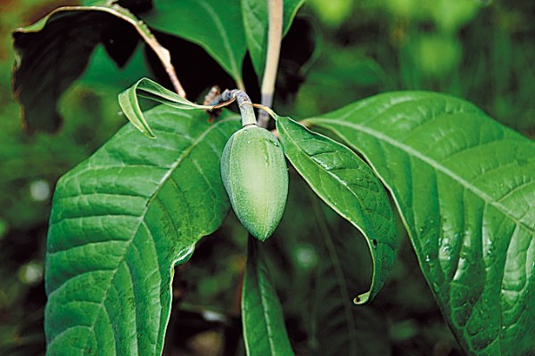 2_gaitubao_600x400 2_gaitubao_600x400