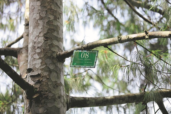 3_gaitubao_600x400 3_gaitubao_600x400