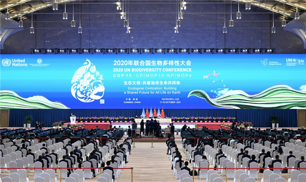 1310247728_16343103202161n 1310247728_16343103202161n