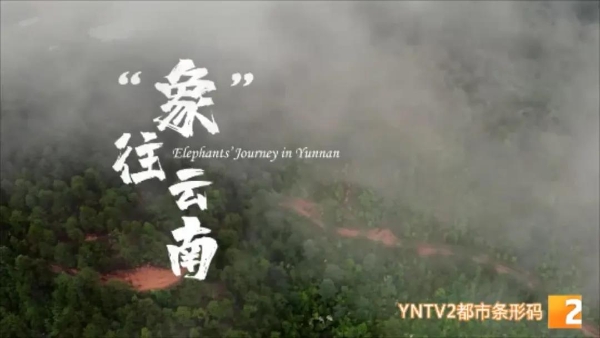 2021101821012525B9PT