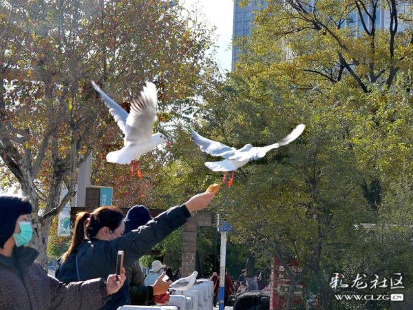 clzg_content&clzg_scale_1296_972 (3)