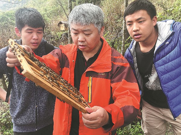 6191b851a310cdd3d81a6efc 6191b851a310cdd3d81a6efc