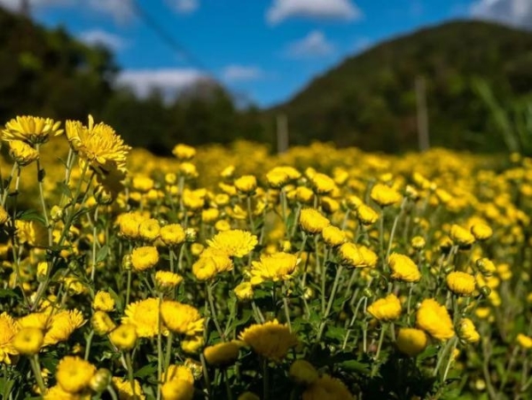 0fa8da0920685d6d8dd94ff9750fb83d