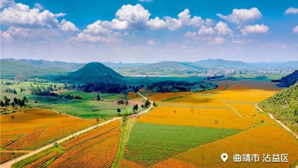 9c8617cfda2f7cd4ff6f4c42afaccf54