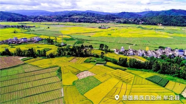 16c1dd70dae2d0bf49094091ad0d68ac