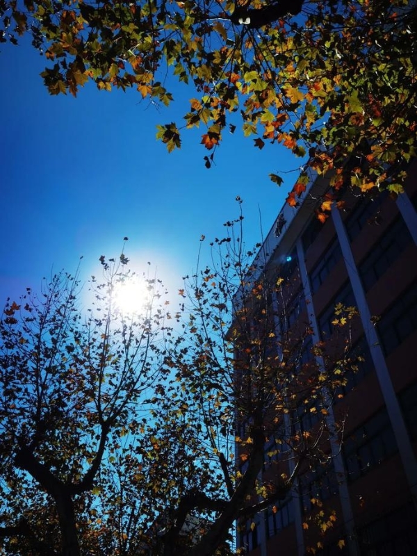 0340a48c9e3690c8609aad39f4d86891