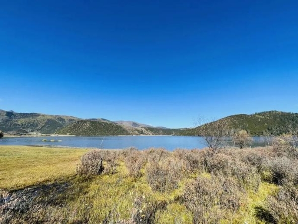 2676dd6697a8562a82cad83bcbd90fe2