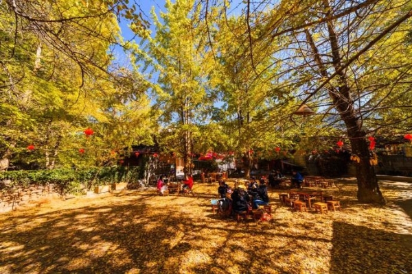 18029e9a3ddcd37dcf28f38586e69b69