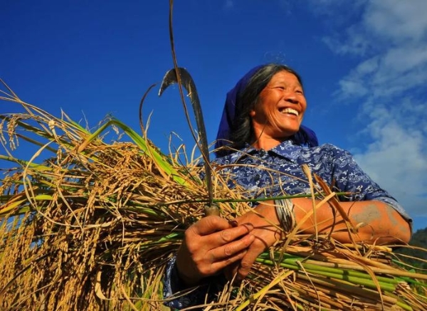 d0894c93552584a7b063160b0a659f36