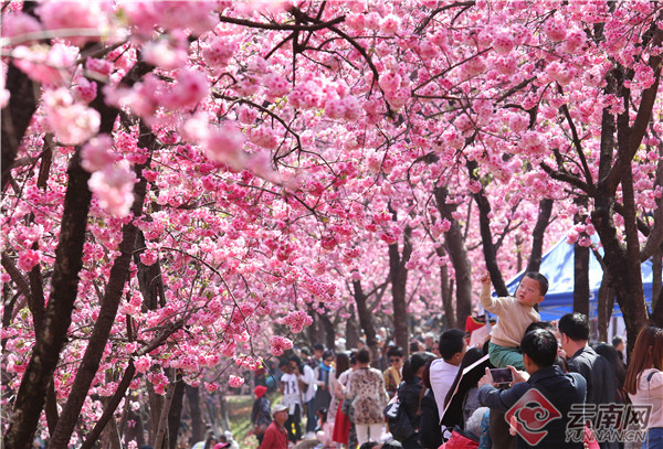 00304297799_89d6fba6