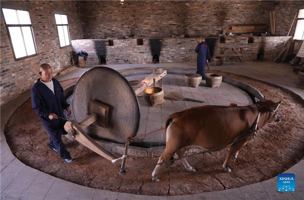 1310342261_16382532827531n