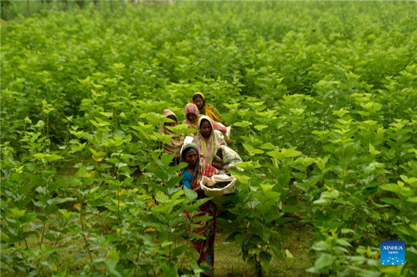 1310340477_16381879209391n