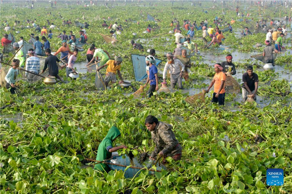 1310340739_16381844982111n 1310340739_16381844982111n