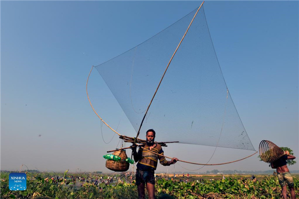 1310340739_16381845056671n 1310340739_16381845056671n