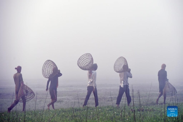 1310340739_16381844983911n 1310340739_16381844983911n