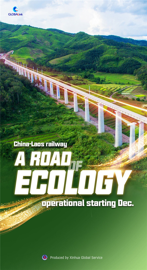 1310349784_16385202210931n