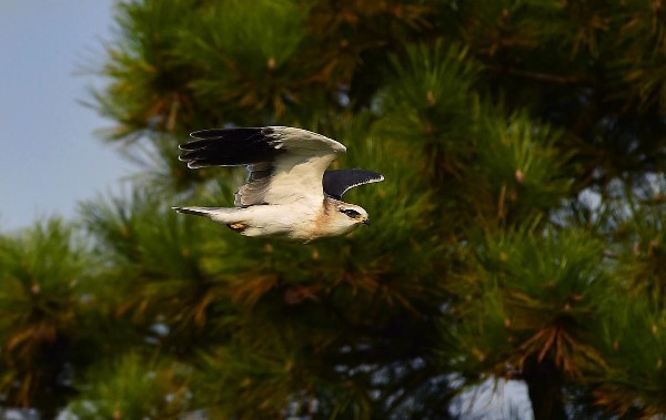 61a89079a310cdd3d81e4d49