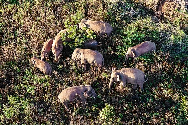 61a59a31a310cdd3d81dc8fd