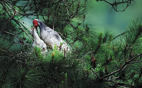 61a59a31a310cdd3d81dc902