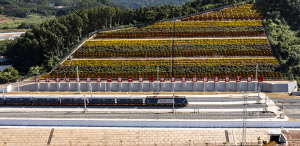 61ad67a2a310cdd3d81ee8c6 61ad67a2a310cdd3d81ee8c6