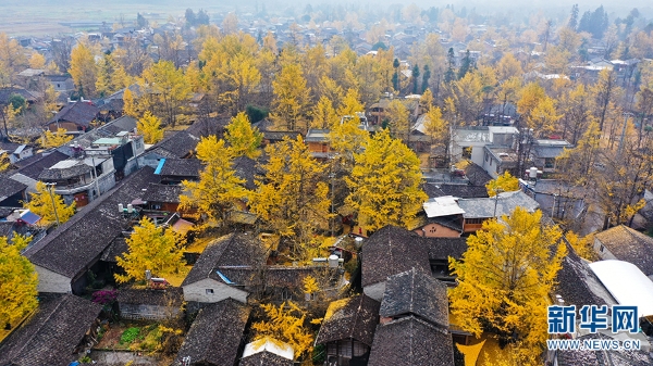 1310366384_16392731332181n 1310366384_16392731332181n