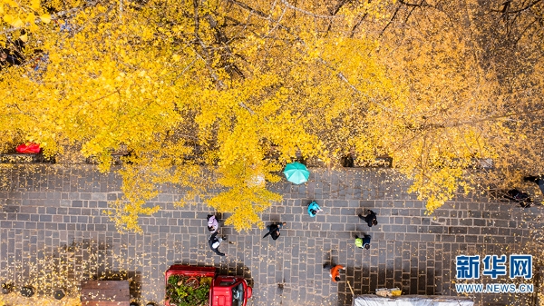 1310366384_16392731333421n 1310366384_16392731333421n