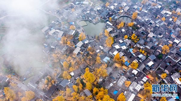 1310366384_16392731334731n 1310366384_16392731334731n