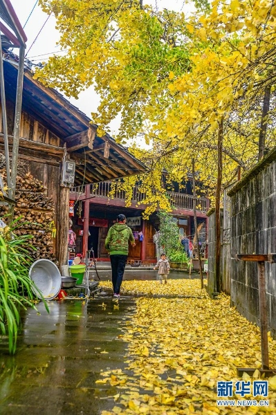 1310366384_16392731337271n 1310366384_16392731337271n