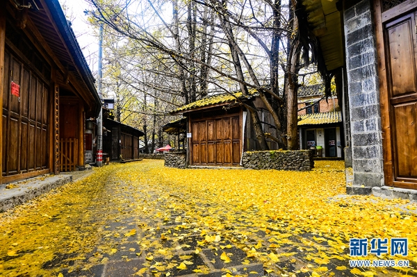 1310366384_16392731338081n 1310366384_16392731338081n