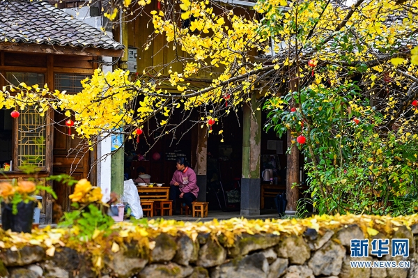 1310366384_16392731339451n 1310366384_16392731339451n