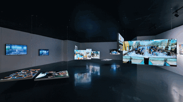 61bc4f47a310cdd3d8218176