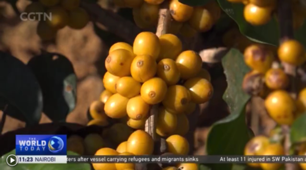 微信图片_20211227155111