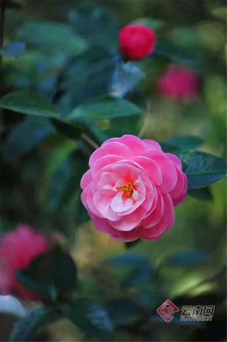 940581_670x670 940581_670x670