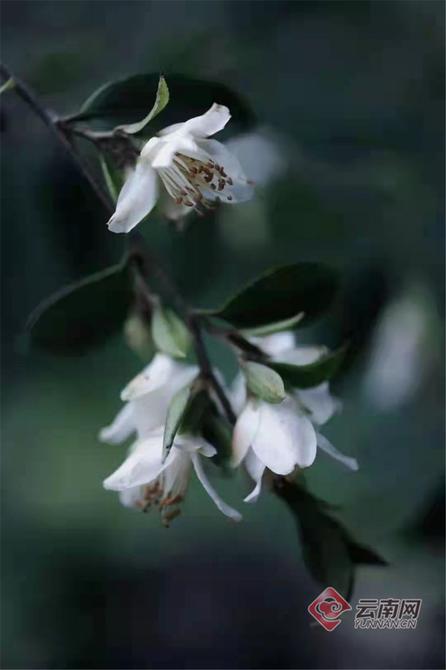 940583_670x670 940583_670x670