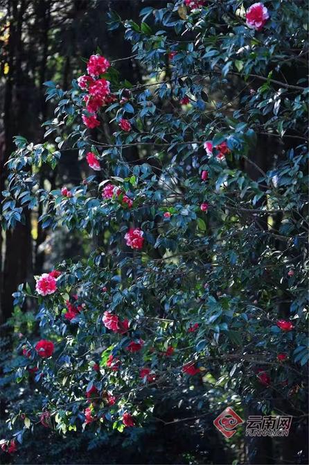 940586_670x670 940586_670x670