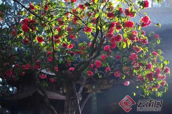 940587_670x670 940587_670x670